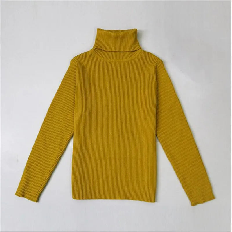 Turtleneck Knitted Sweaters
