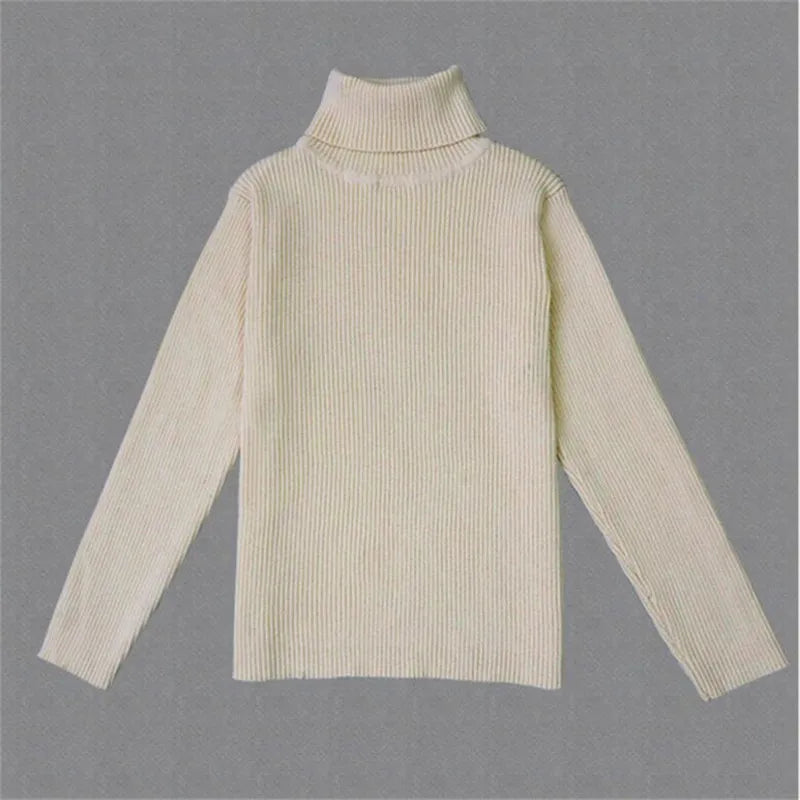 Turtleneck Knitted Sweaters